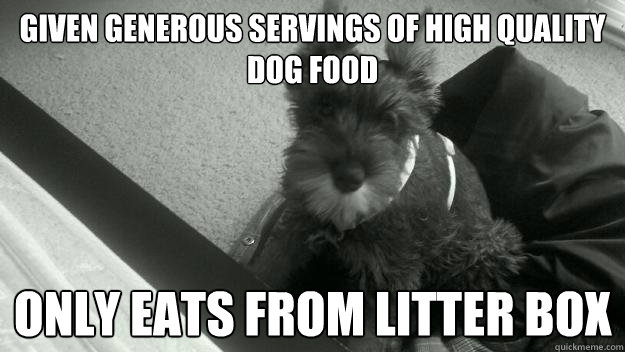GIVEN generous servings of high quality dog food only eats from litter box - GIVEN generous servings of high quality dog food only eats from litter box  Misc