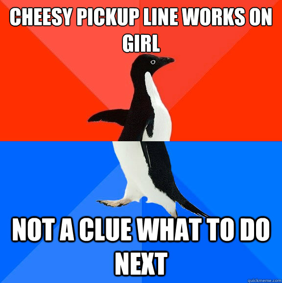 Cheesy pickup line works on girl Not a clue what to do next  Socially Awesome Awkward Penguin