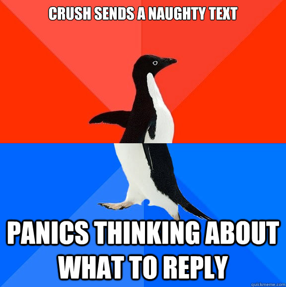 Crush sends a naughty text Panics thinking about what to reply  Socially Awesome Awkward Penguin