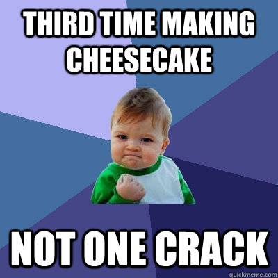 Third time making cheesecake not one crack - Third time making cheesecake not one crack  Success Kid