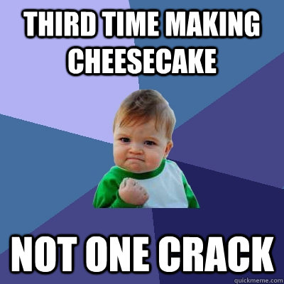 Third time making cheesecake not one crack  Success Kid