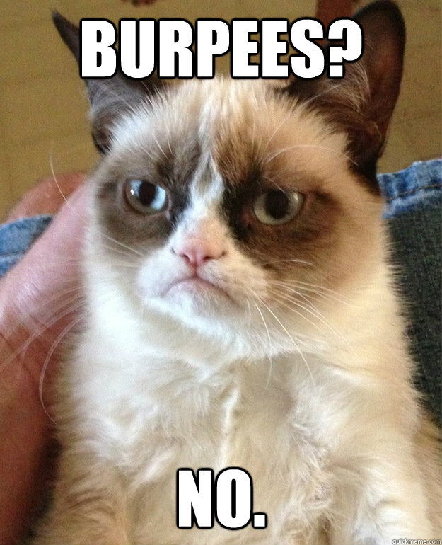 BURPEES? No.  grumpycat