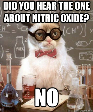 Did you hear the one about nitric oxide? no - Did you hear the one about nitric oxide? no  Grumpy Chemistry Cat