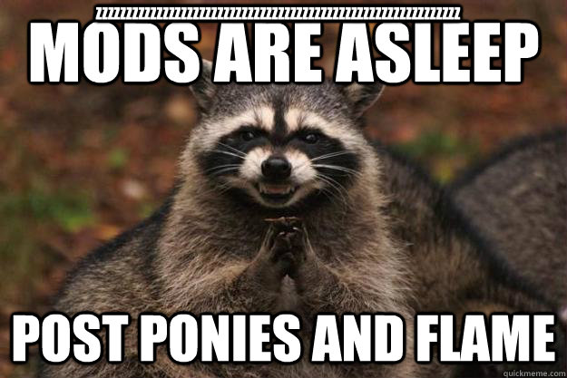 Mods are asleep Post ponies and flame zzzzzzzzzzzzzzzzzzzzzzzzzzzzzzzzzzzzzzzzzzzzzzzzzzzzzzzzzzzz  Evil Plotting Raccoon