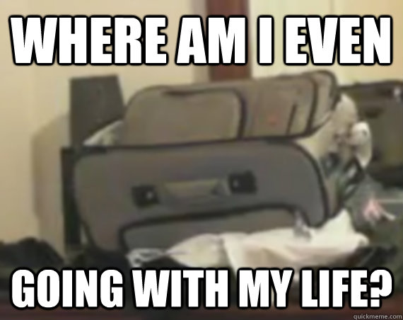 Where am I even going with my life?  sad suitcase