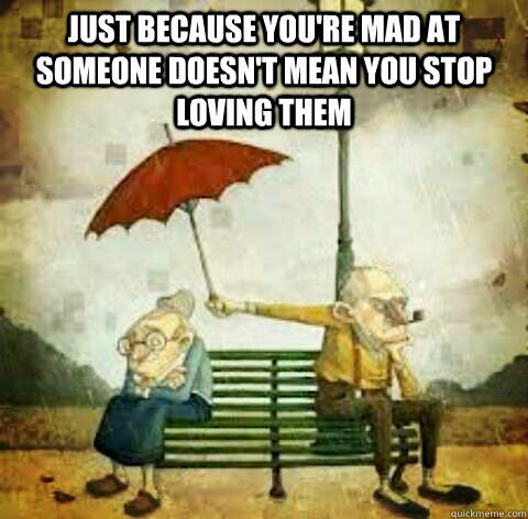 Just because you're mad at someone doesn't mean you stop loving them  - Just because you're mad at someone doesn't mean you stop loving them   This is true.