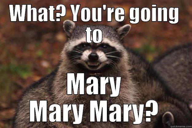 WHAT? YOU'RE GOING TO MARY MARY MARY? Evil Plotting Raccoon