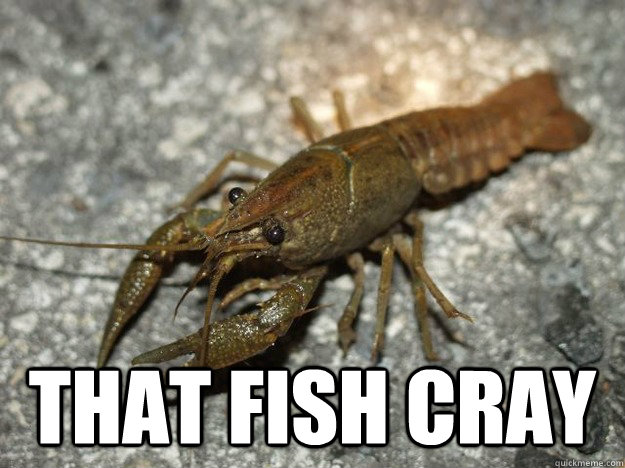  That fish cray  THAT SHIT CRAY