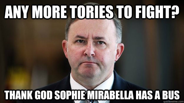 Any more Tories to fight? Thank God Sophie Mirabella has a bus - Any more Tories to fight? Thank God Sophie Mirabella has a bus  Albo Fighting Tories