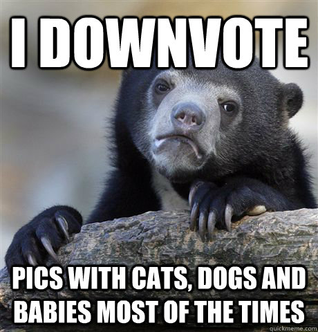 i downvote pics with cats, dogs and babies most of the times  Confession Bear