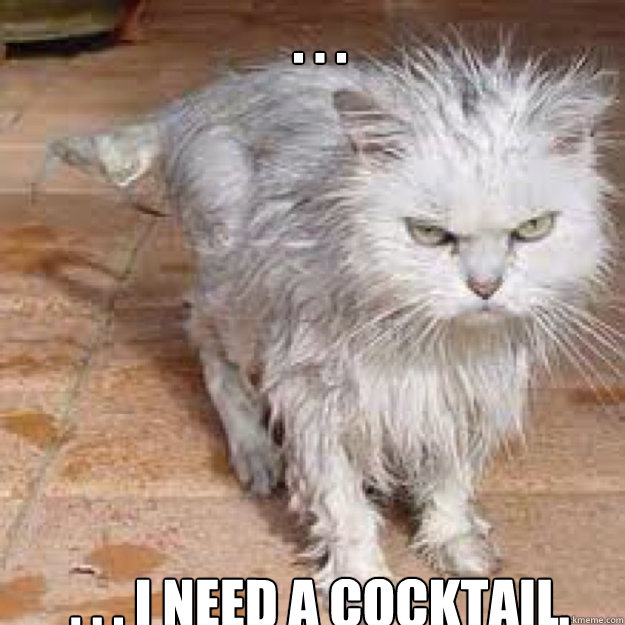 . . . . . . I need a cocktail.  wet cat