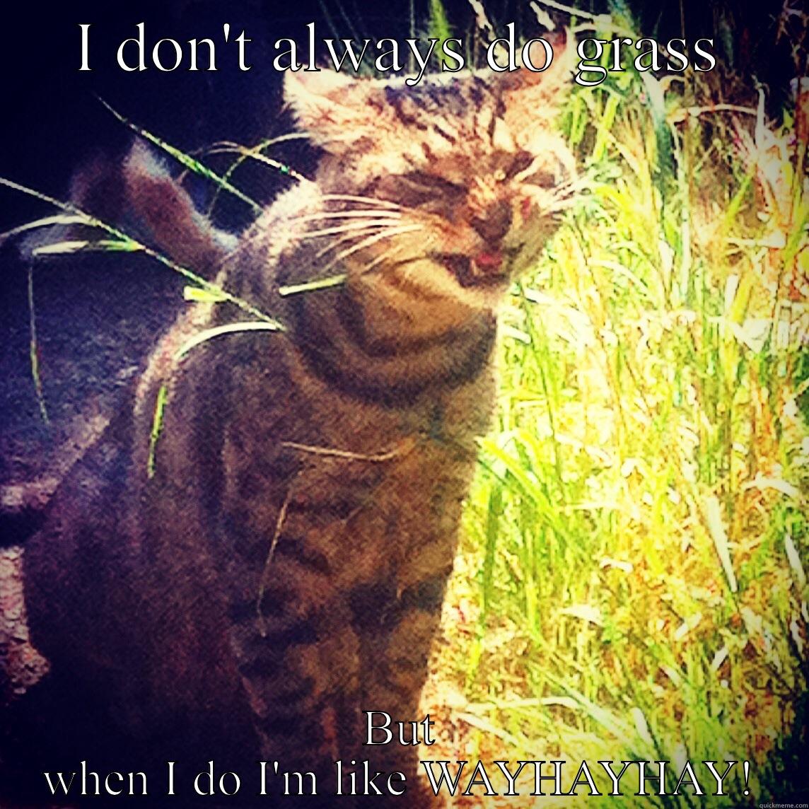 I DON'T ALWAYS DO GRASS BUT WHEN I DO I'M LIKE WAYHAYHAY! Misc