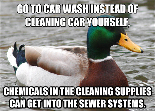 go to car wash instead of cleaning car yourself, chemicals in the cleaning supplies can get into the sewer systems.  Actual Advice Mallard