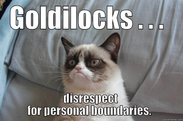 Goldilocks slept in my bed! - GOLDILOCKS . . .  DISRESPECT FOR PERSONAL BOUNDARIES.  Grumpy Cat