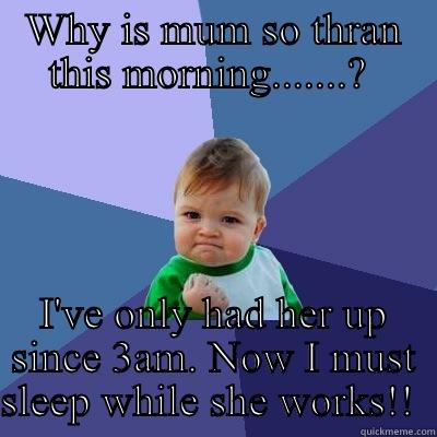 WHY IS MUM SO THRAN THIS MORNING.......?  I'VE ONLY HAD HER UP SINCE 3AM. NOW I MUST SLEEP WHILE SHE WORKS!!  Success Kid