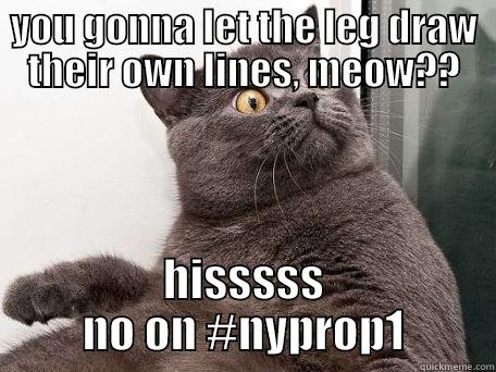 #nyprop1 suprised cat - YOU GONNA LET THE LEG DRAW THEIR OWN LINES, MEOW?? HISSSSS NO ON #NYPROP1 conspiracy cat