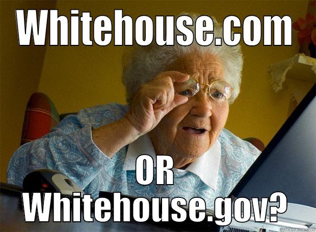 WHITEHOUSE.COM OR WHITEHOUSE.GOV? Grandma finds the Internet