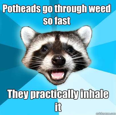 Potheads go through weed so fast They practically inhale it  Lame Pun Coon