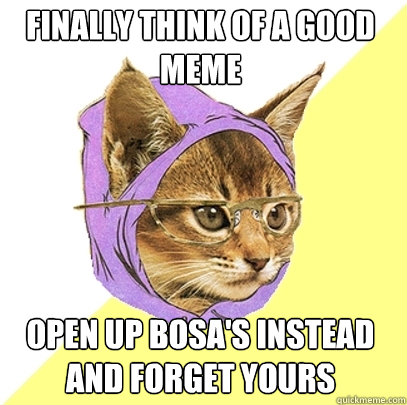 finally think of a good meme Open up bosa's instead and forget yours  Hipster Kitty