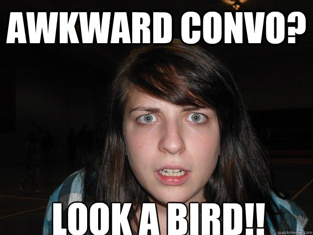 AWKWARD Convo? Look a bird!! - AWKWARD Convo? Look a bird!!  puzzled