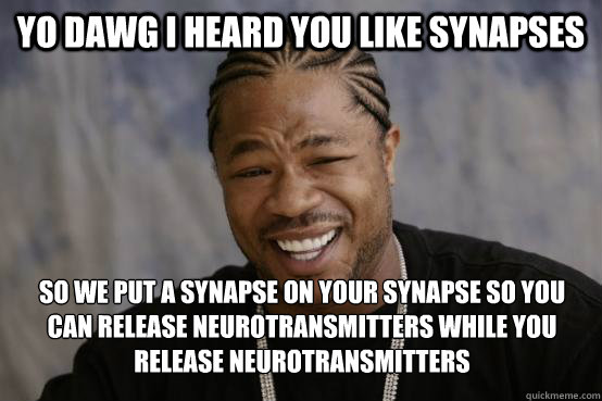 YO DAWG I HEARD YOU LIKE SYNAPSES SO WE PUT A SYNAPSE ON YOUR SYNAPSE SO YOU CAN RELEASE NEUROTRANSMITTERS WHILE YOU RELEASE NEUROTRANSMITTERS - YO DAWG I HEARD YOU LIKE SYNAPSES SO WE PUT A SYNAPSE ON YOUR SYNAPSE SO YOU CAN RELEASE NEUROTRANSMITTERS WHILE YOU RELEASE NEUROTRANSMITTERS  Misc
