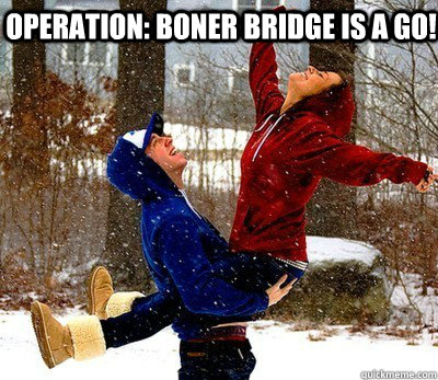Operation: Boner Bridge is a go!  