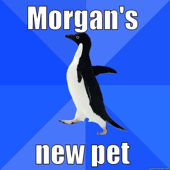 MORGAN'S NEW PET Socially Awkward Penguin