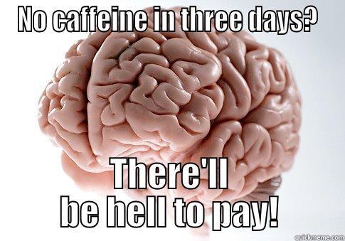 NO CAFFEINE IN THREE DAYS?  THERE'LL BE HELL TO PAY! Scumbag Brain
