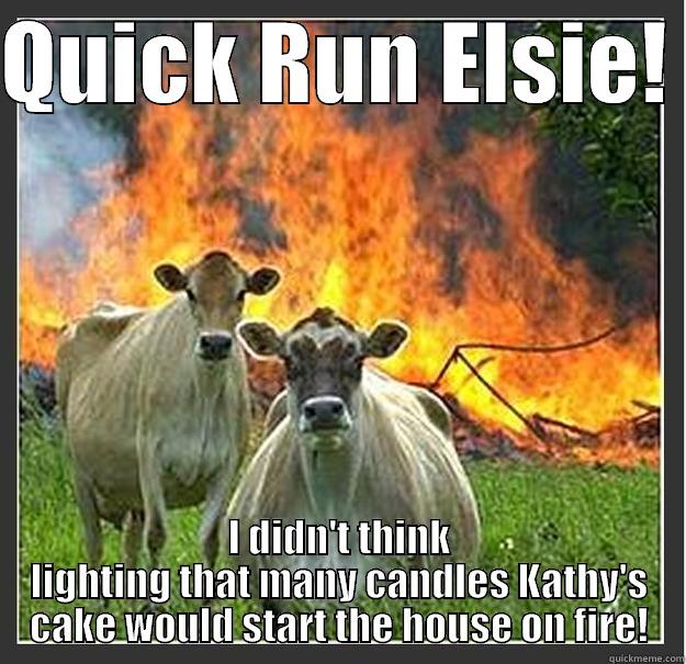 QUICK RUN ELSIE!  I DIDN'T THINK LIGHTING THAT MANY CANDLES KATHY'S CAKE WOULD START THE HOUSE ON FIRE! Evil cows