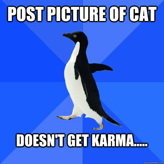 Post picture of cat   Doesn't get karma.....   Socially Awkward Penguin