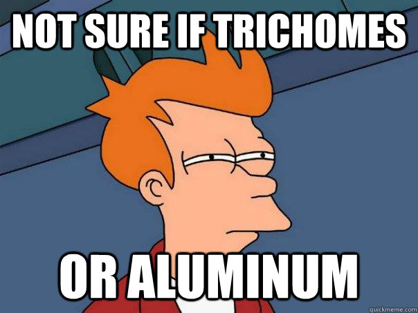 Not sure if trichomes Or aluminum  Futurama Fry