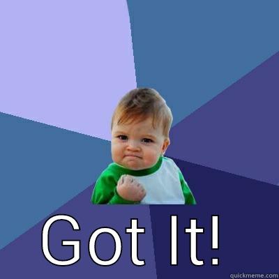  GOT IT! Success Kid