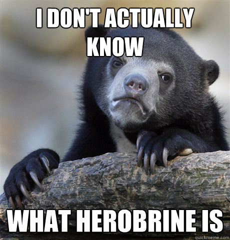 I Don't actually know what herobrine is - I Don't actually know what herobrine is  Confession Bear