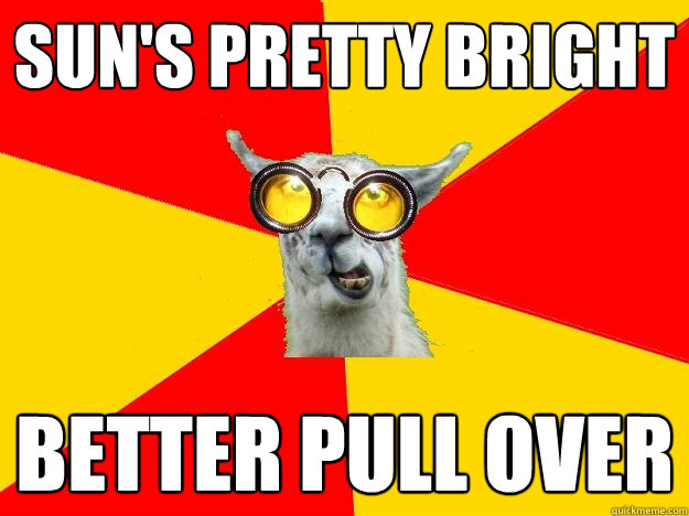 sun's pretty bright  better pull over  Learner Driver Llama