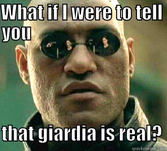 WHAT IF I WERE TO TELL YOU                                           THAT GIARDIA IS REAL? Matrix Morpheus