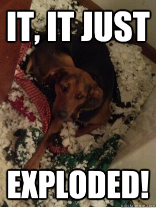 It, It just Exploded! - It, It just Exploded!  Concerned Canine
