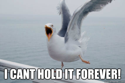  I cant hold it forever! -  I cant hold it forever!  Seagull