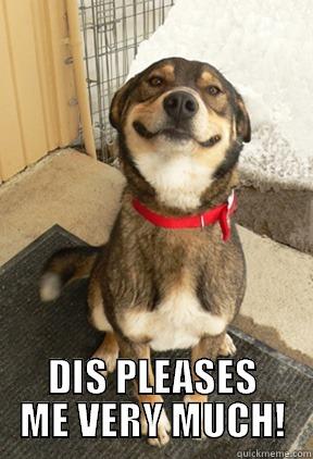  DIS PLEASES ME VERY MUCH! Good Dog Greg
