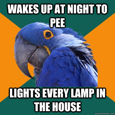 Wakes up at night to pee lights every lamp in the house  Paranoid Parrot