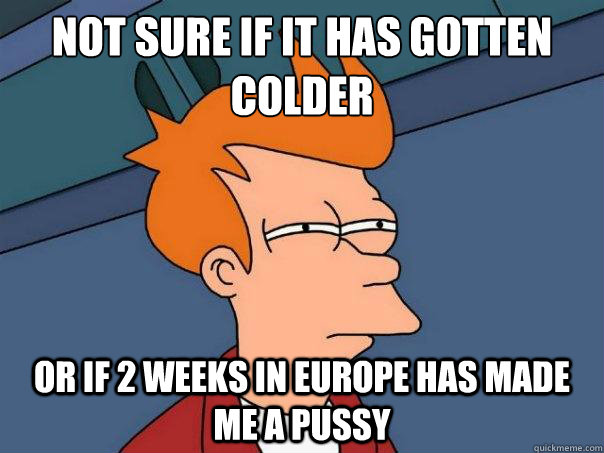Not sure if it has gotten colder or if 2 weeks in europe has made me a pussy - Not sure if it has gotten colder or if 2 weeks in europe has made me a pussy  Futurama Fry