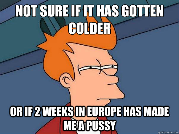 Not sure if it has gotten colder or if 2 weeks in europe has made me a pussy  Futurama Fry
