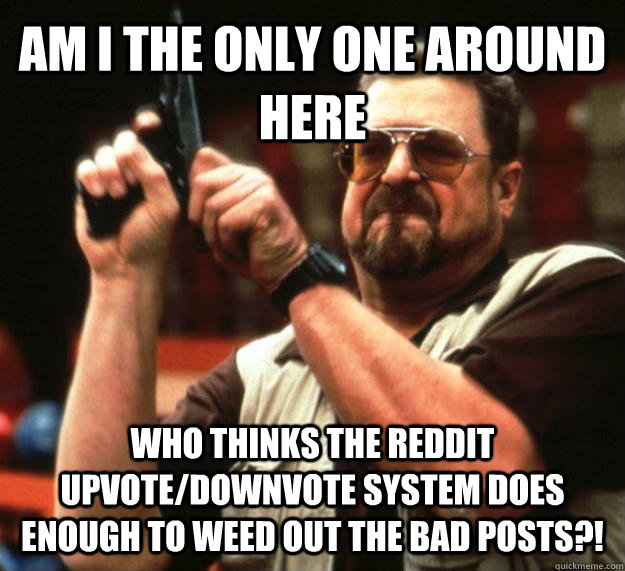 AM I THE ONLY ONE AROUND HERE who thinks the reddit upvote/downvote system does enough to weed out the bad posts?! - AM I THE ONLY ONE AROUND HERE who thinks the reddit upvote/downvote system does enough to weed out the bad posts?!  Angry Walter