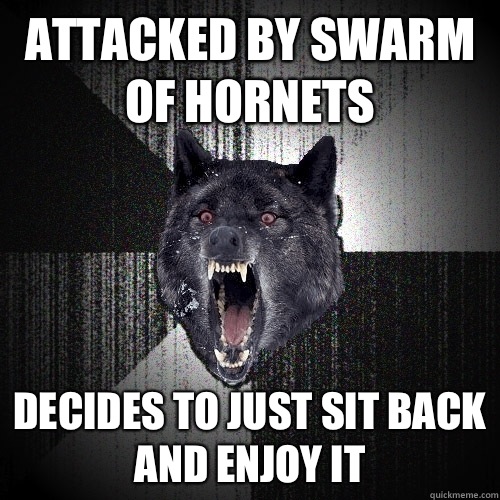 attacked by swarm of hornets decides to just sit back and enjoy it - attacked by swarm of hornets decides to just sit back and enjoy it  Insanity Wolf