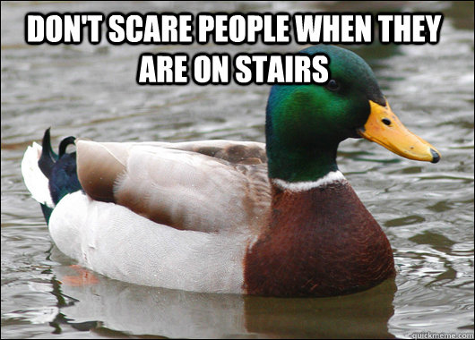 Don't scare people when they are on stairs   Actual Advice Mallard