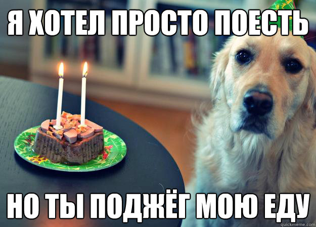 Я хотел просто поесть но ты поджёг мою еду  Sad Birthday Dog