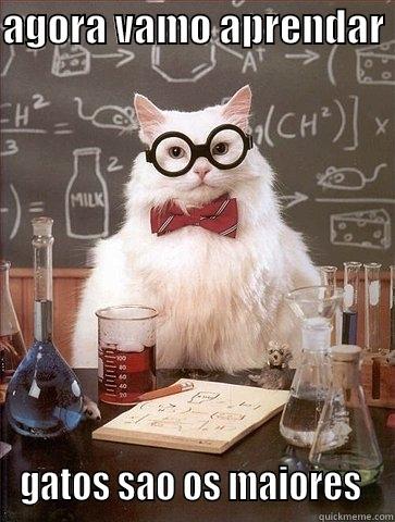 AGORA VAMO APRENDAR  GATOS SAO OS MAIORES  Chemistry Cat