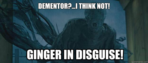 Dementor?...I think not!   Ginger in disguise!   Dementors