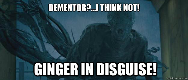 Dementor?...I think not!   Ginger in disguise!   