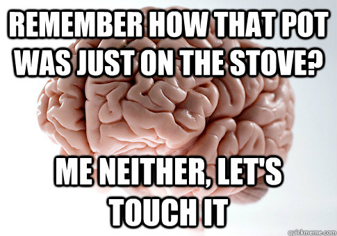 Remember how that pot was just on the stove? Me neither, let's touch it  Scumbag Brain