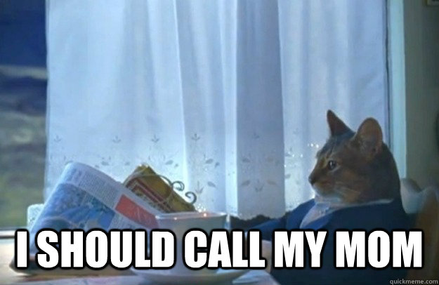  I should call my mom  Sophisticated Cat